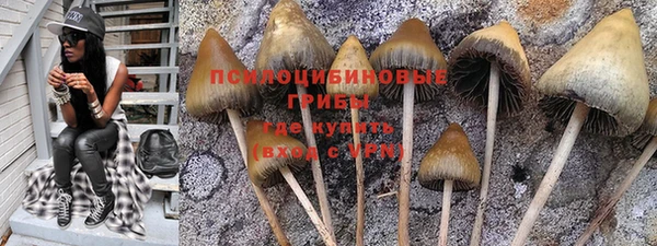 PSILOCYBIN Дмитровск