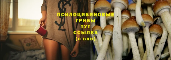 spice Дмитриев