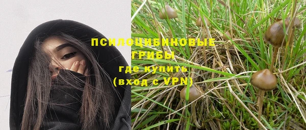 spice Дмитриев