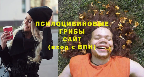 spice Дмитриев