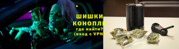 spice Дмитриев