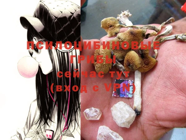 PSILOCYBIN Дмитровск