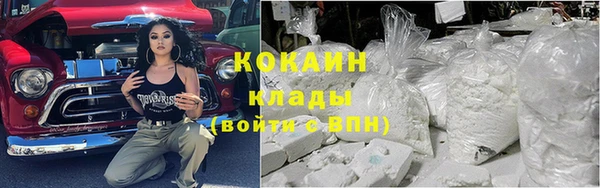 spice Дмитриев
