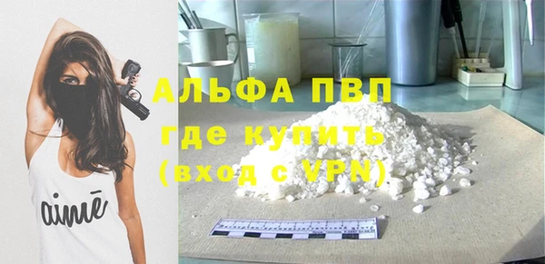 spice Дмитриев