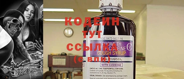 spice Дмитриев